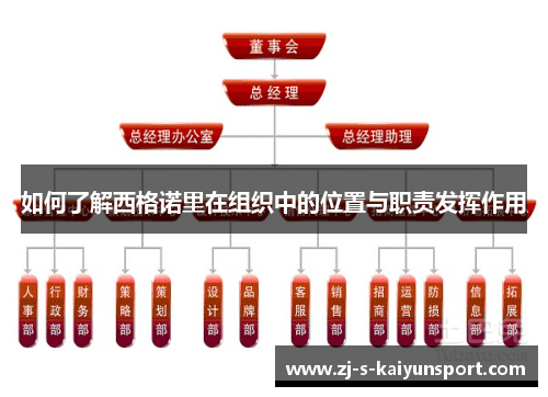 如何了解西格诺里在组织中的位置与职责发挥作用