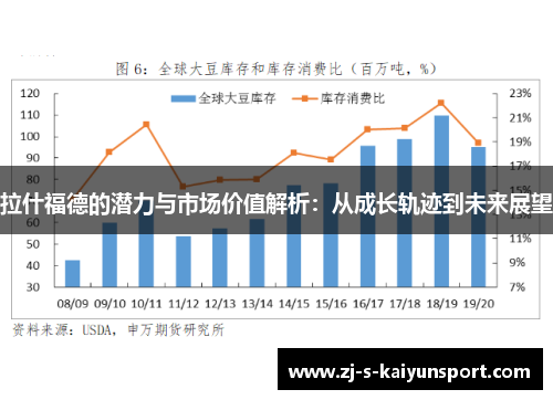 拉什福德的潜力与市场价值解析：从成长轨迹到未来展望