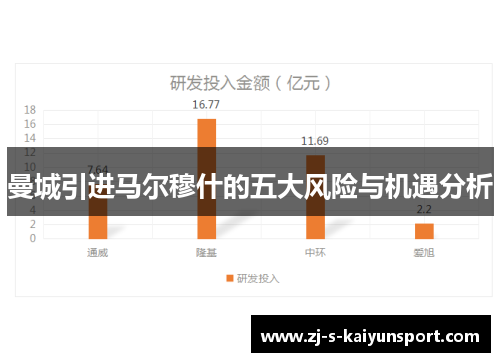 曼城引进马尔穆什的五大风险与机遇分析 曼城引进马尔穆什的五大风险与机遇分析