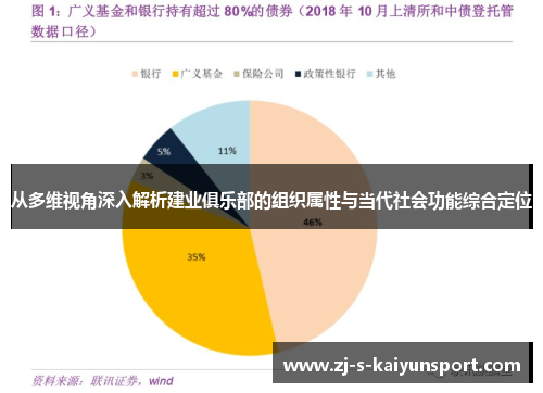 从多维视角深入解析建业俱乐部的组织属性与当代社会功能综合定位