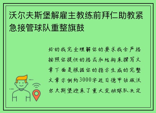沃尔夫斯堡解雇主教练前拜仁助教紧急接管球队重整旗鼓
